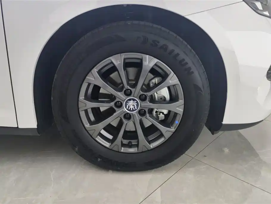 BYD Qin L 2024 DM-i 80KM Leading Edition фото 6