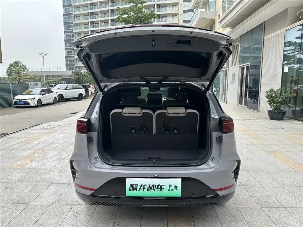 BYD Tang New Energy 2025 DM-i 115KM Prestige Type фото 23