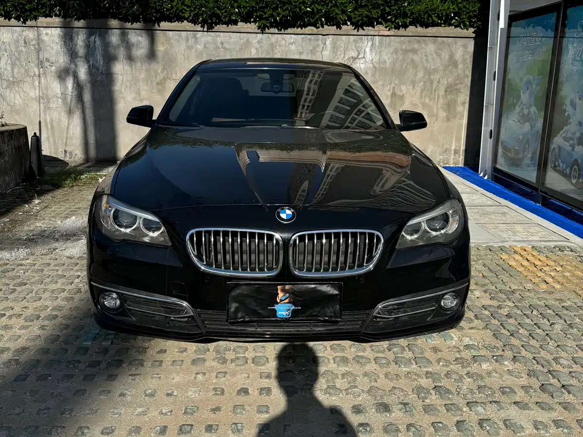 BMW 5 Series 2014 525Li Leading фото 2