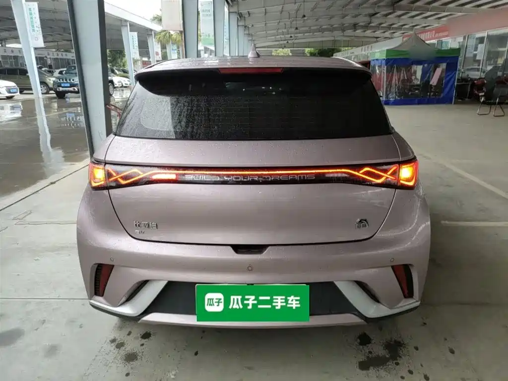 BYD Dolphin 2021 Model 405km Fashion Edition фото 6