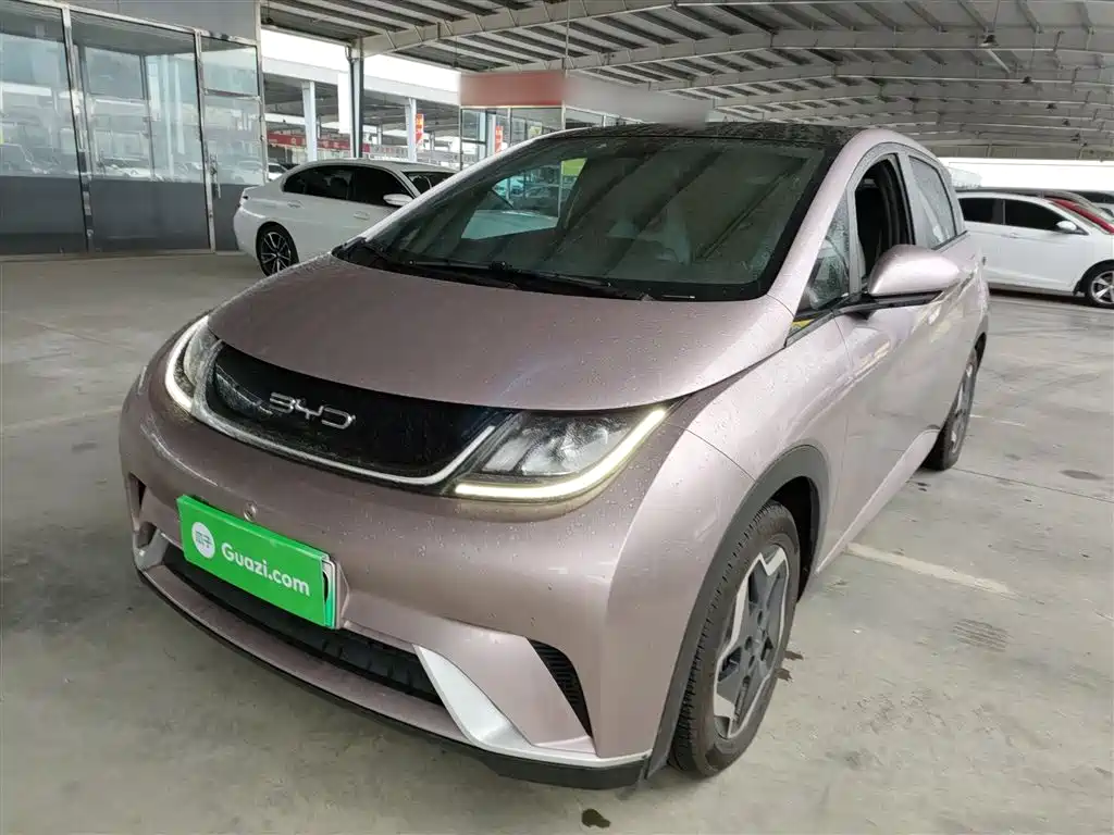 BYD Dolphin 2021 Model 405km Fashion Edition фото 2