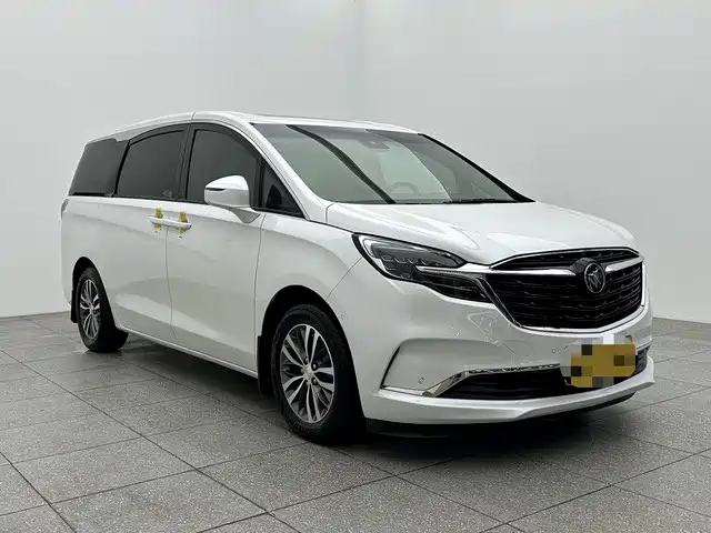 Buick GL8 2022 ES Landmark 653T Premium фото 3