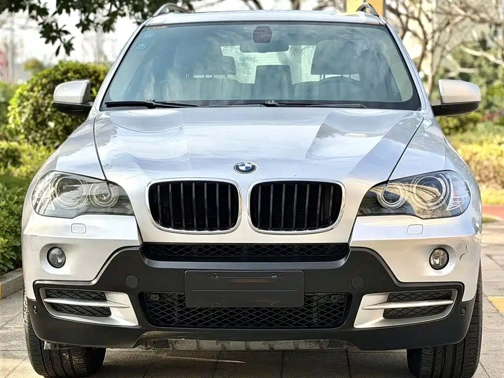 BMW X5 (Import) 2009 xDrive30i Premium фото 2