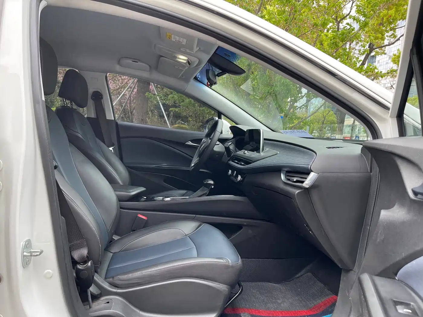 BUICK SLIGHTLY BLUE 6