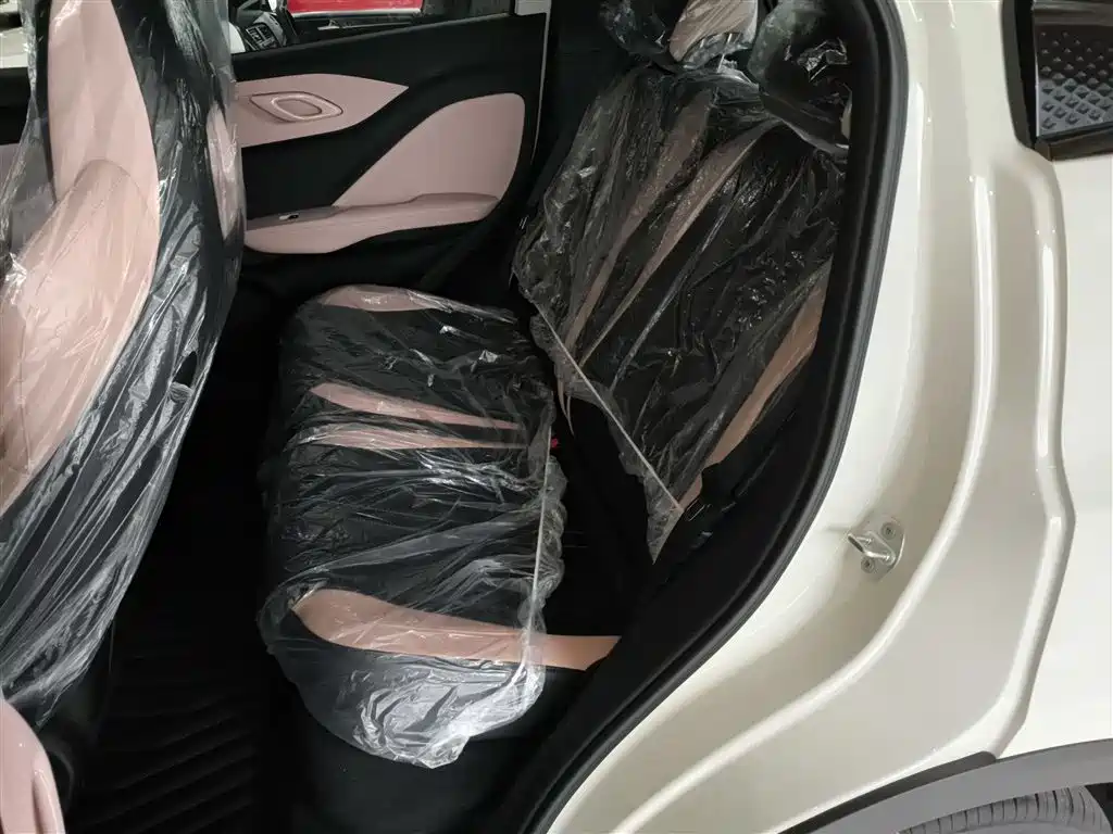 BYD Seagull 2025 Smart Drive Edition 305km Vitality Version фото 17