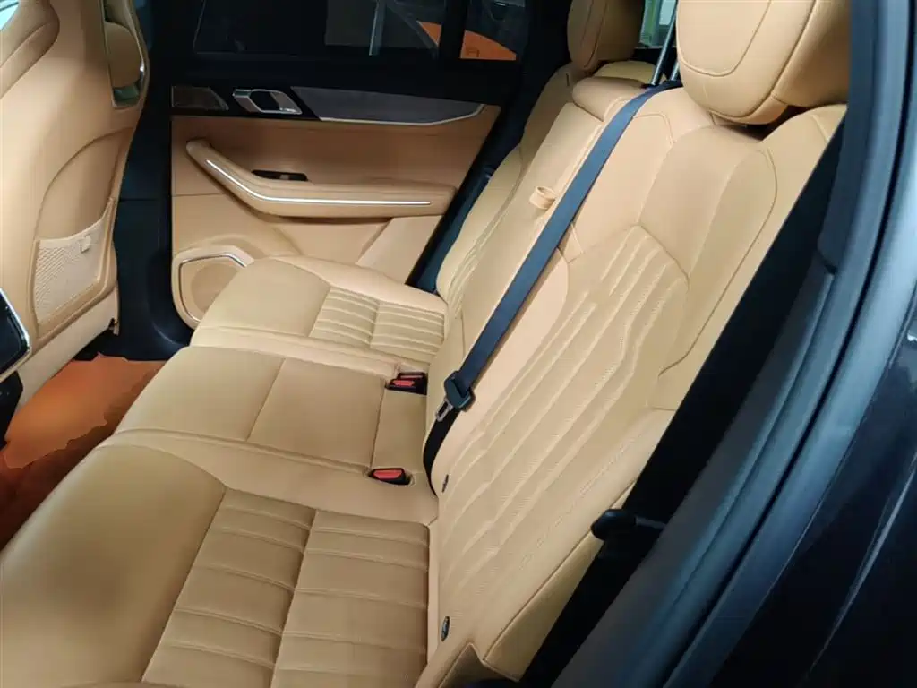 Lynk & Co 09 EM-P 2024 2.0TD EM-P AWD PRO 7-Seater фото 17