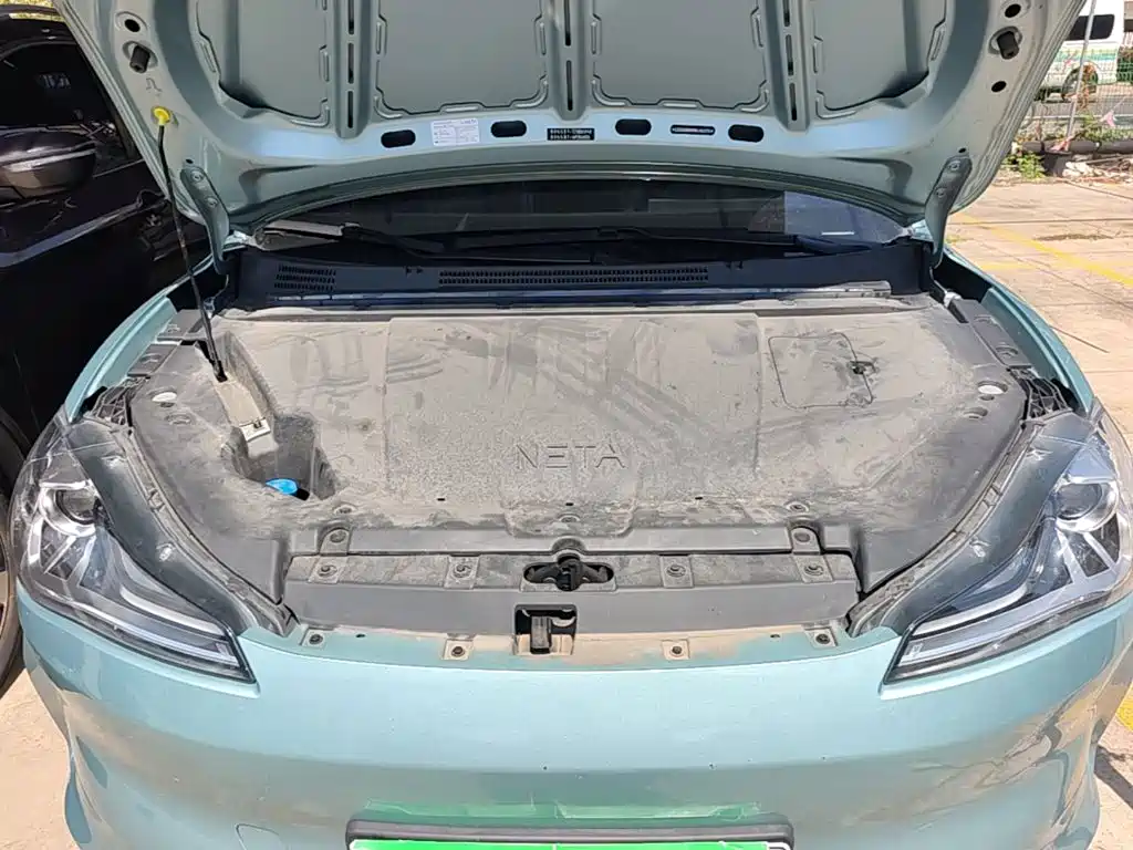 Nezha Auto Nezha V 2023 2022 Trend 300 Lite LFP