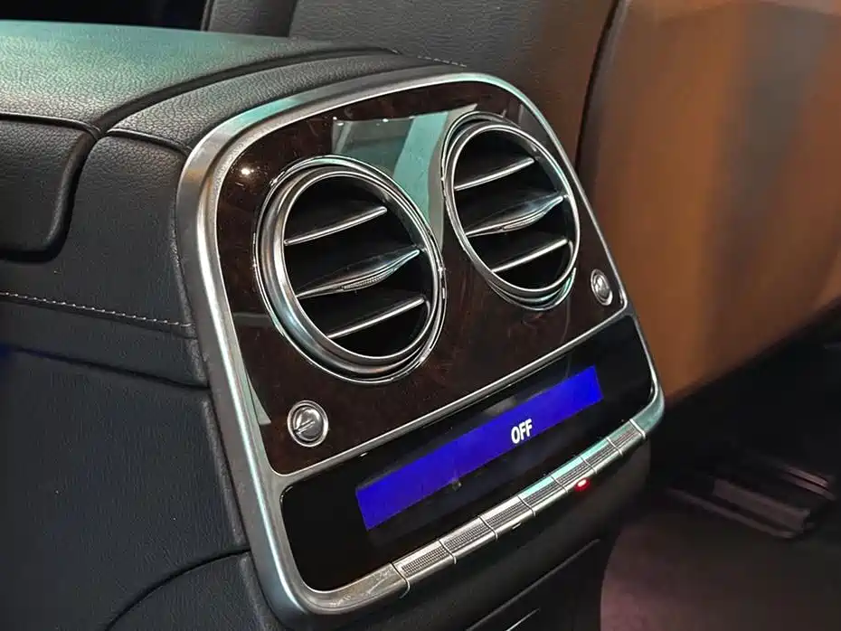 Mercedes-Benz S-Class 2020 S 350 L Premium Edition Collector's Version фото 15