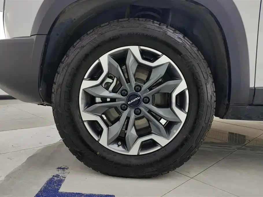 Haval Big Dog 2024 2.0T DCT Chinese Rural Dog Edition фото 6