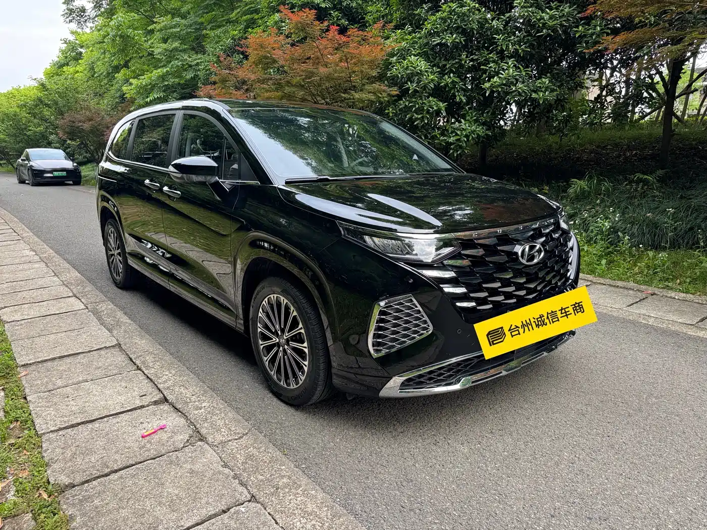 Hyundai Kustu 2024 270TGDi LUX Premium Edition фото 3