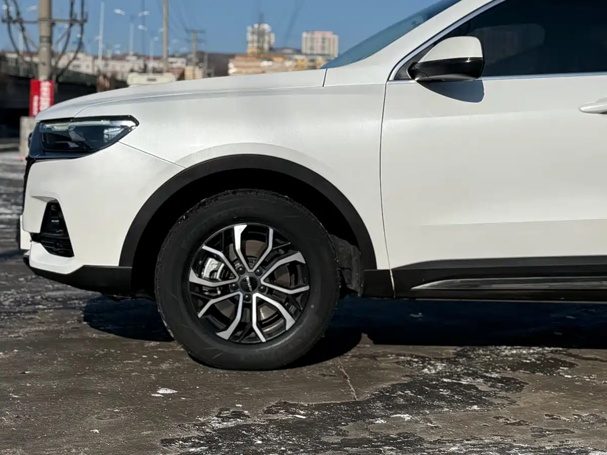 Haval H6 2023 National Trend Edition 1.5T Automatic Urban фото 22
