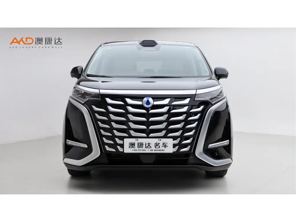 Denza D9 2025 Model DM-i Smart Drive Edition 1020 AWD Flagship фото 2