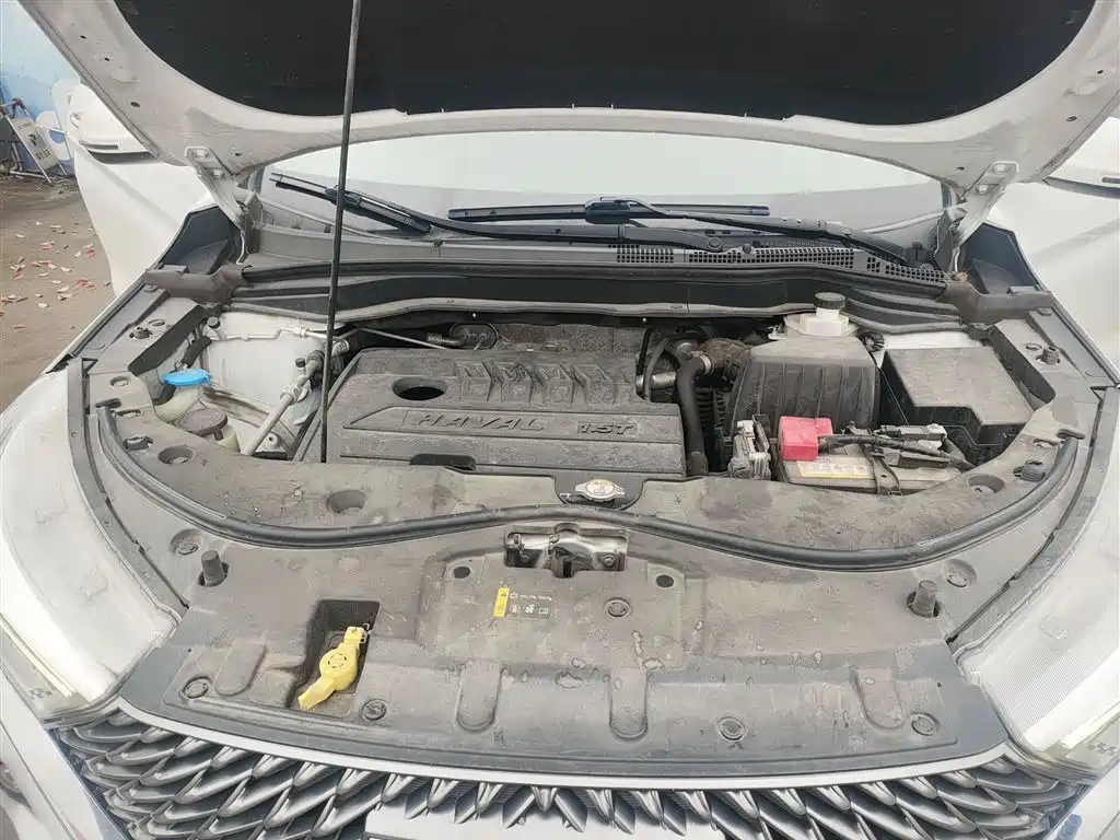 Haval M6 2021 PLUS 1.5T DCT Luxury Smart Connect фото 19