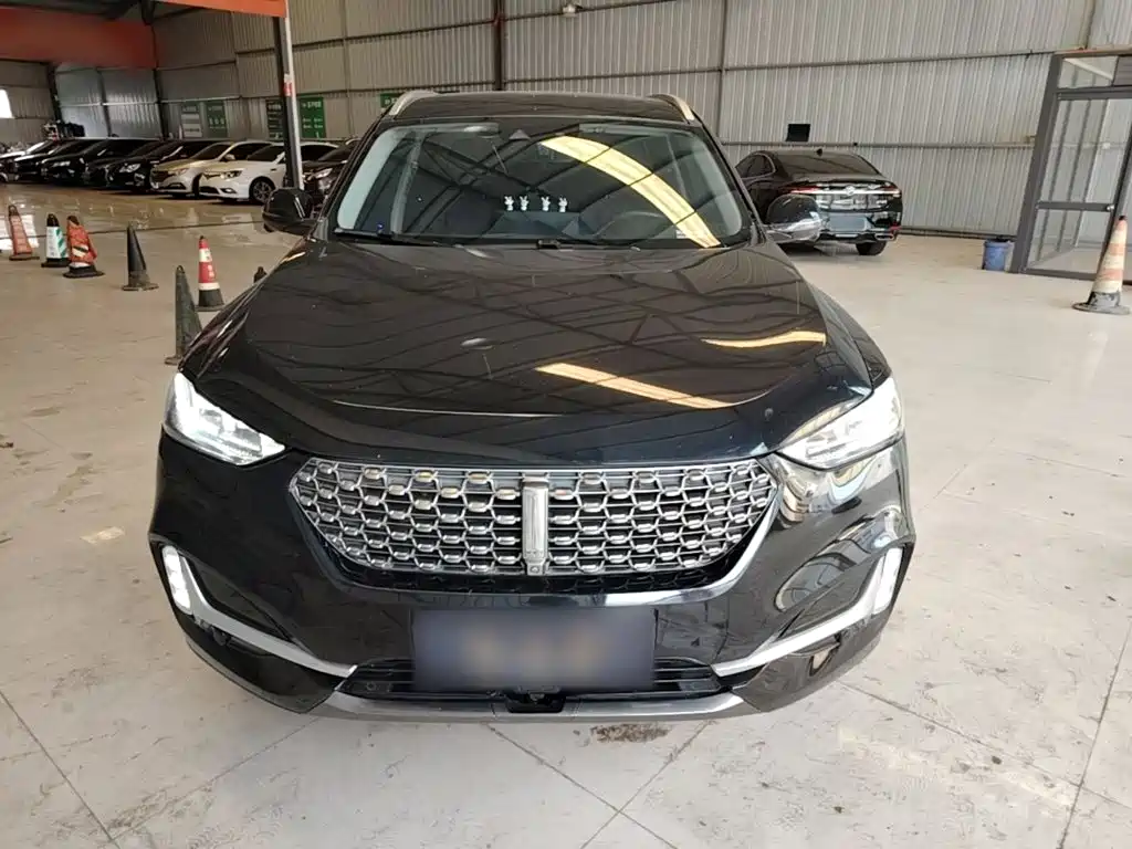 2021 WEY VV6