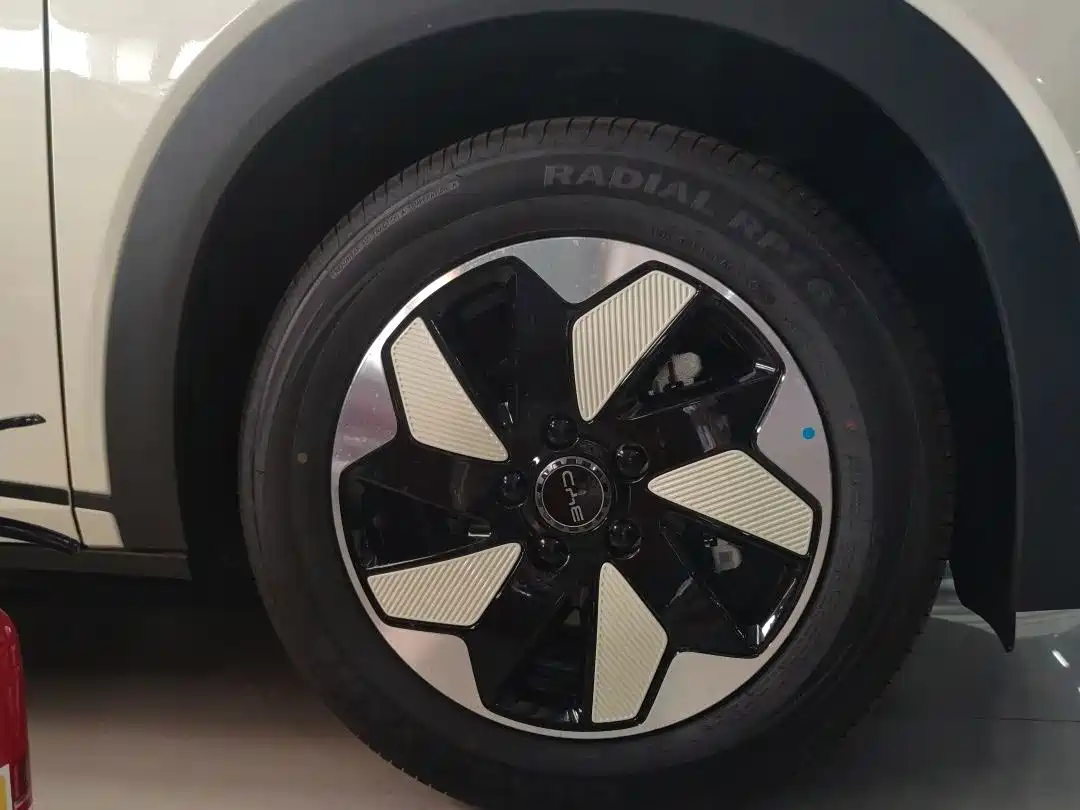 BYD Dolphin 2026 2025 420km Freedom Edition