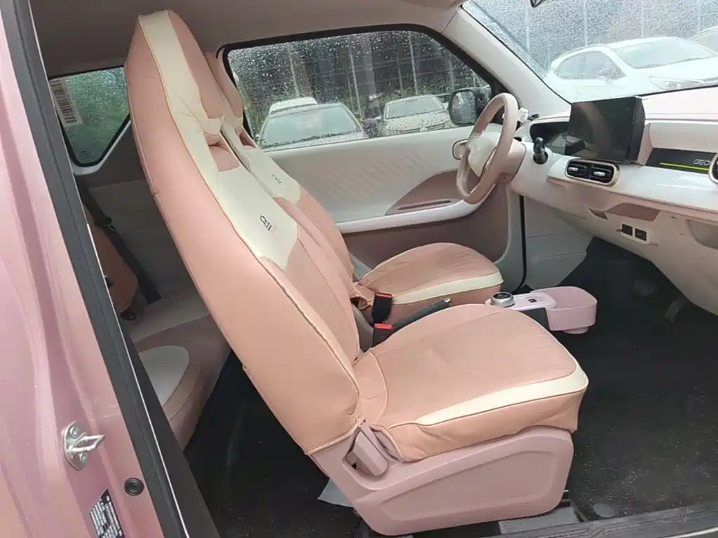 Фото 25 - Geely Galaxy Panda