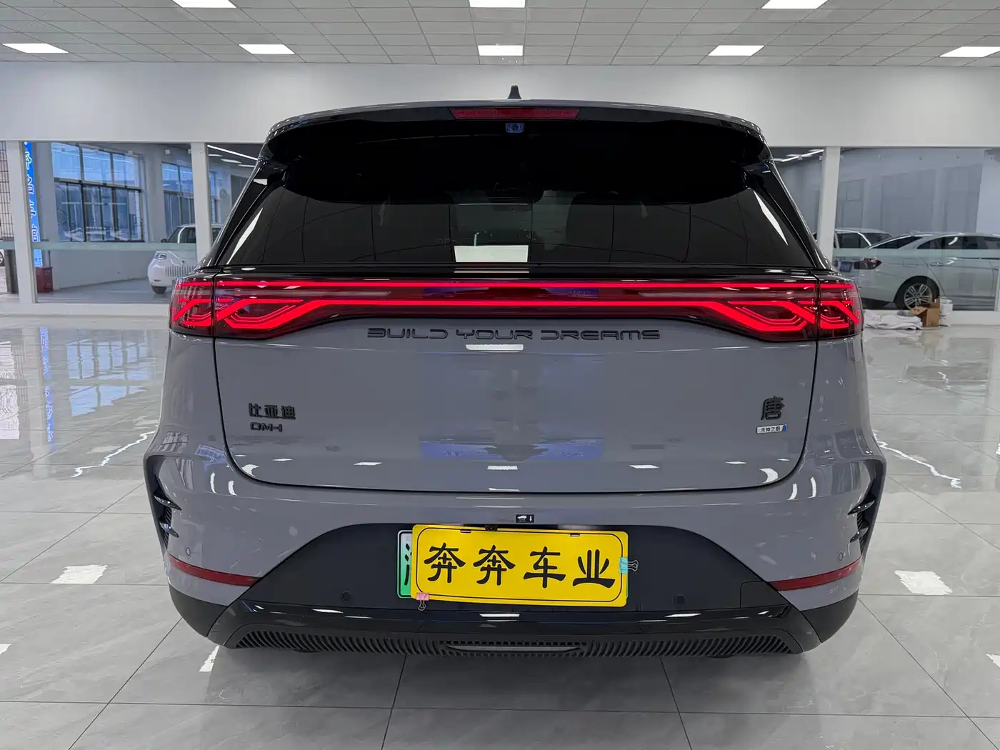 BYD TANGXIN ENERGY