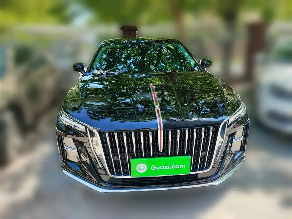 Hongqi H5 2024 2.0T Automatic Smart Connect Flag Enjoy Edition фото 24