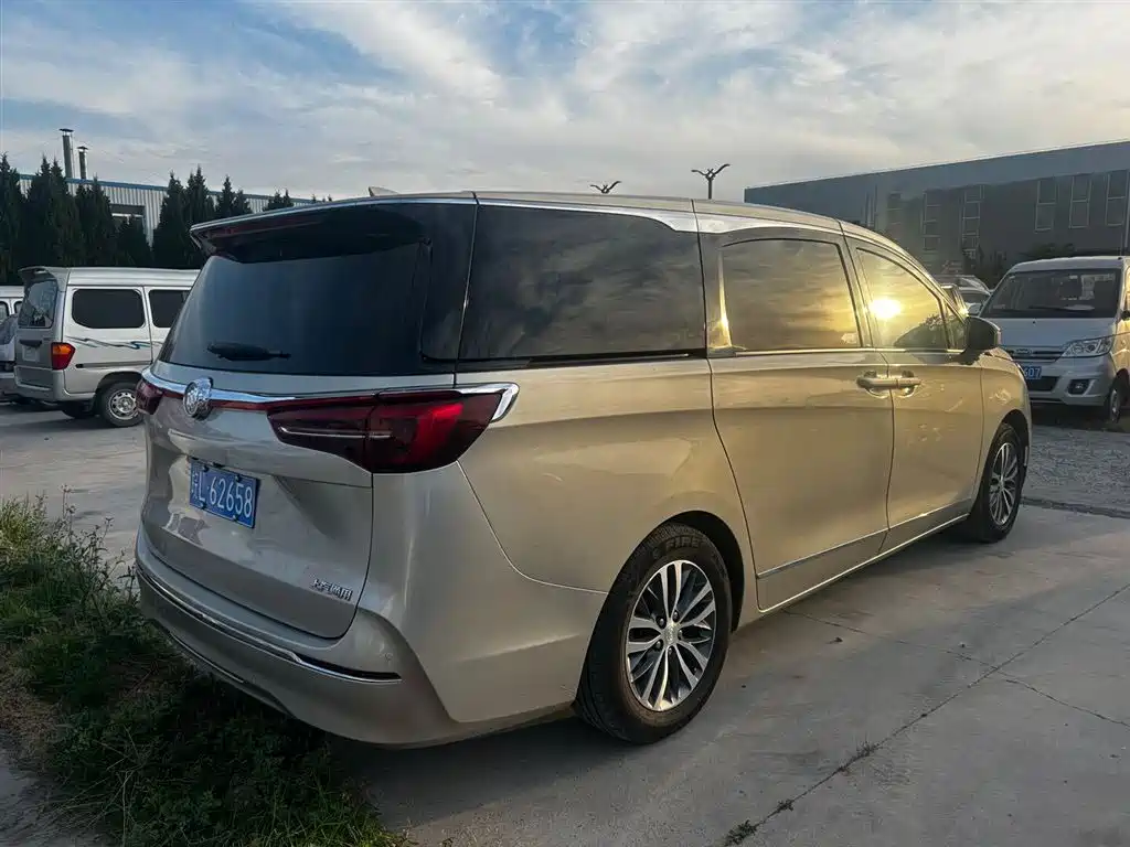 Buick GL8 2021 ES Landlord 653T Premium фото 3