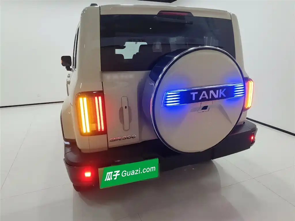 Tank 300 2021 Urban Edition 2.0T Stylish фото 6