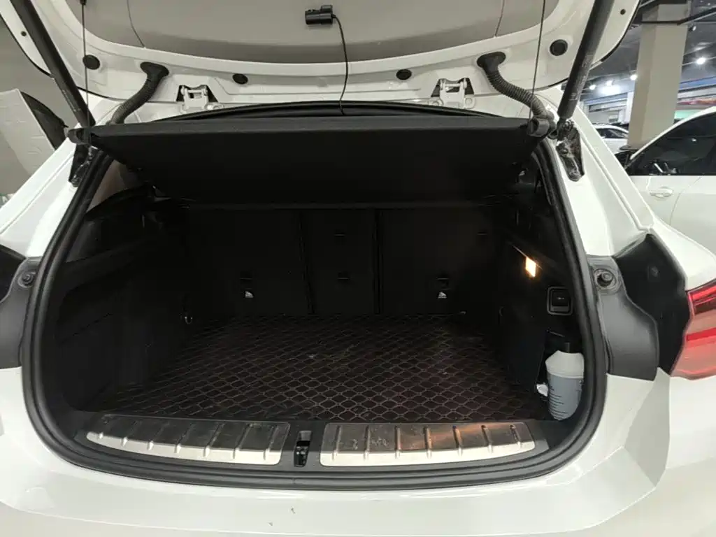 BMW X2 (Import) 2019 2019 sDrive20i M Off-Road Package China VI