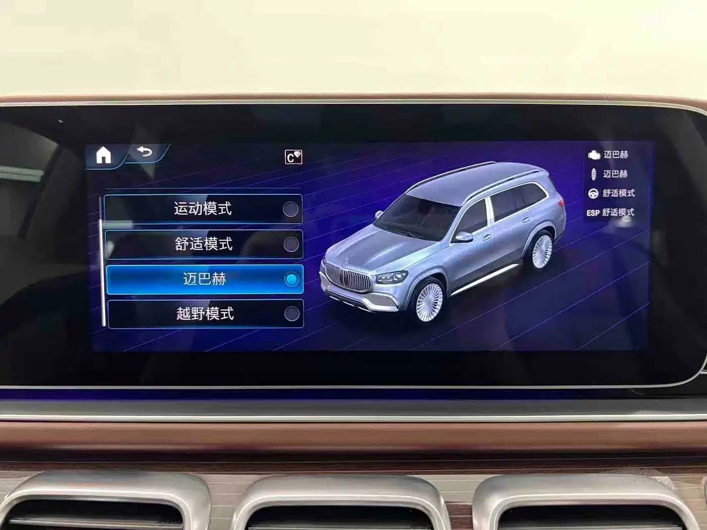 Mercedes-Benz Maybach GLS 2021 GLS 600 4MATIC Ritual Edition фото 7