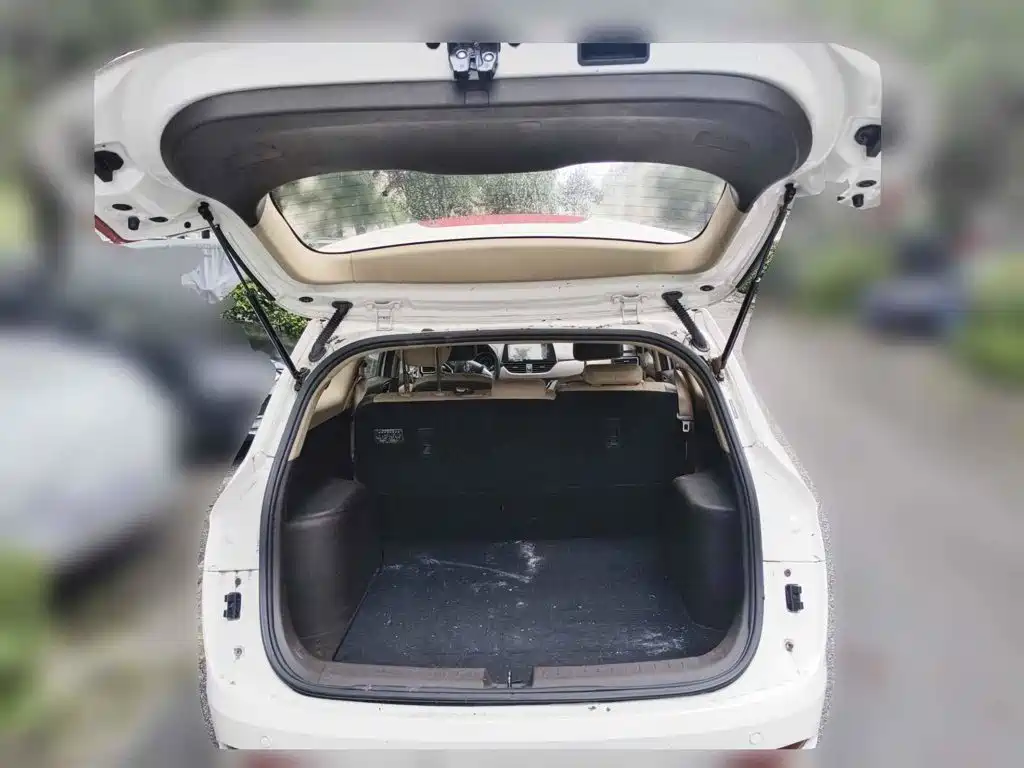 Baojun 310W 2019 2017 1.5L Manual Comfort China VI