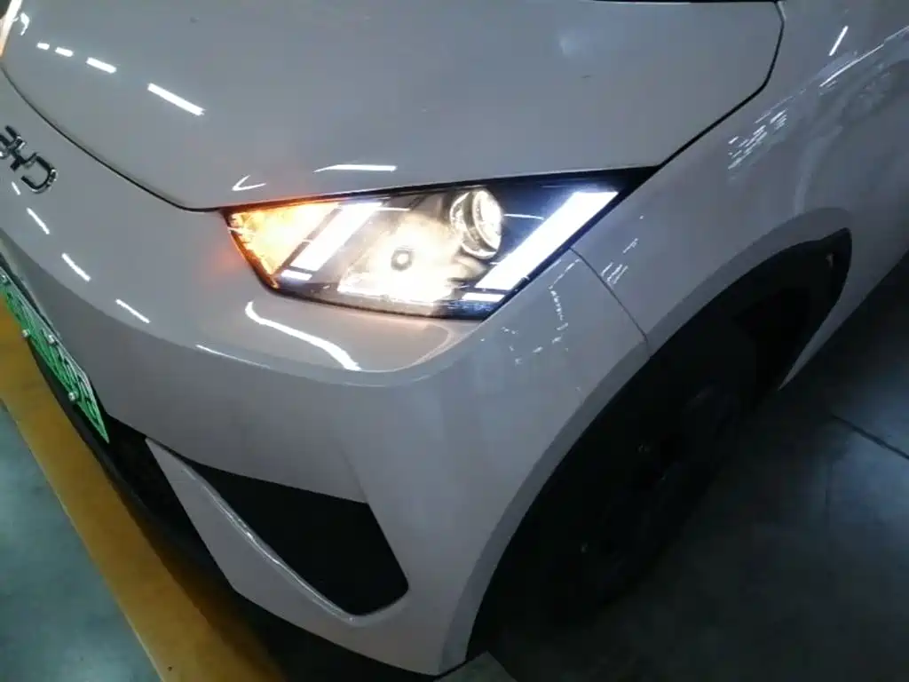 BYD Seagull 2025 Smart Drive Edition 305km Vitality Version фото 24