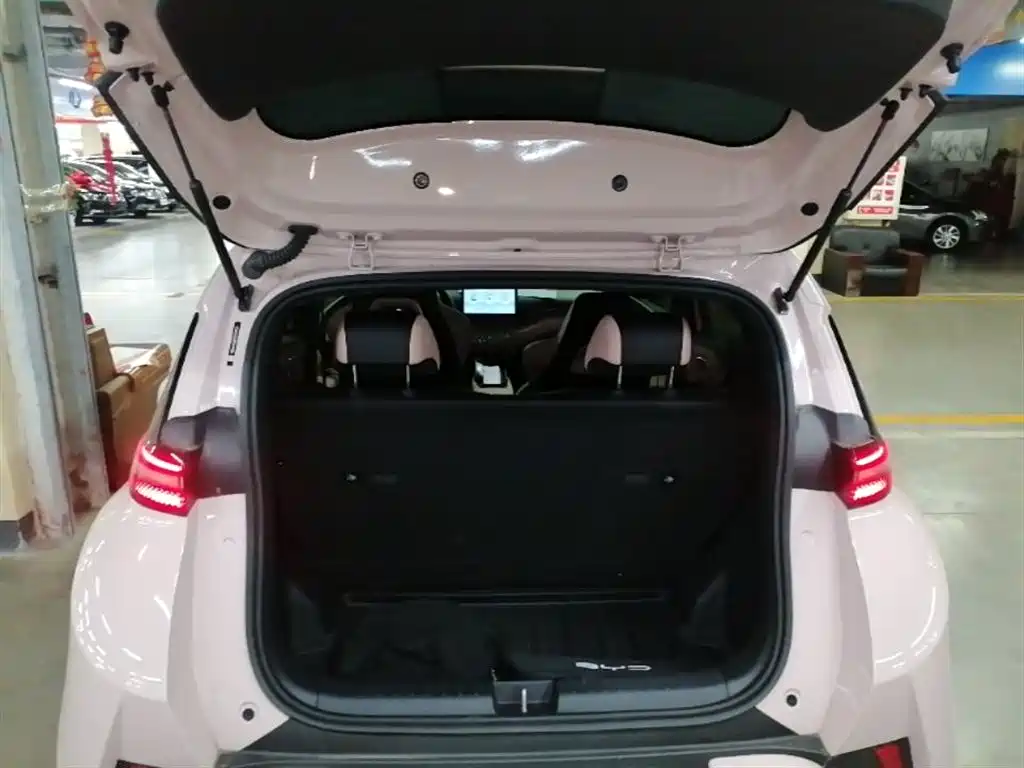 BYD Seagull 2025 Smart Drive Edition 305km Vitality Version фото 19