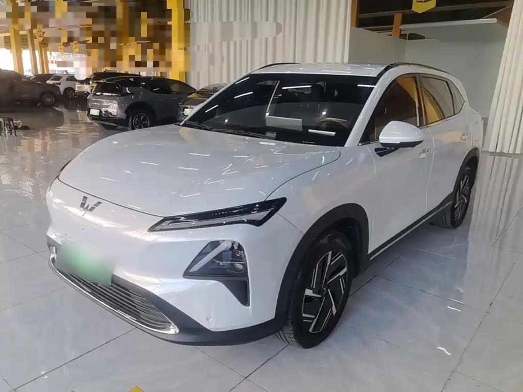  Wuling Motors Wuling Xingguang S 2024 130km Pilot