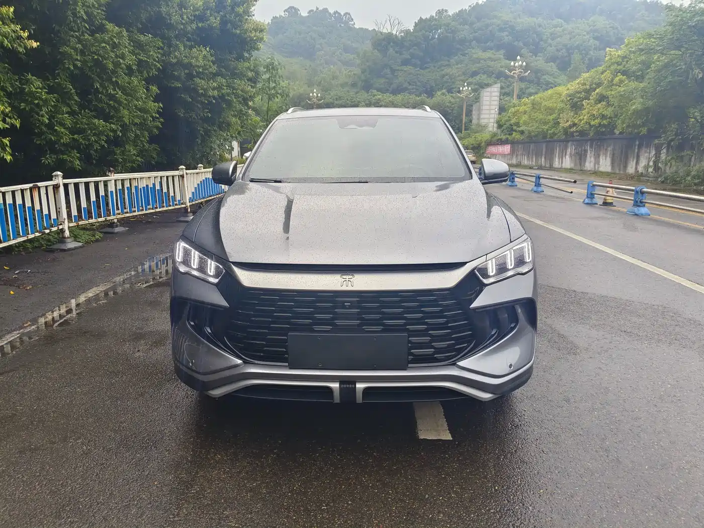 BYD Song Pro New Energy 2024 Glory Edition DM-i 110KM Surpassing фото 2