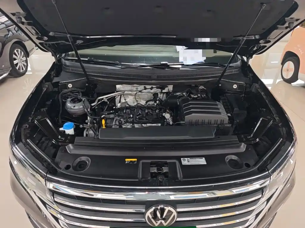 Фото 20 - Volkswagen Viloran