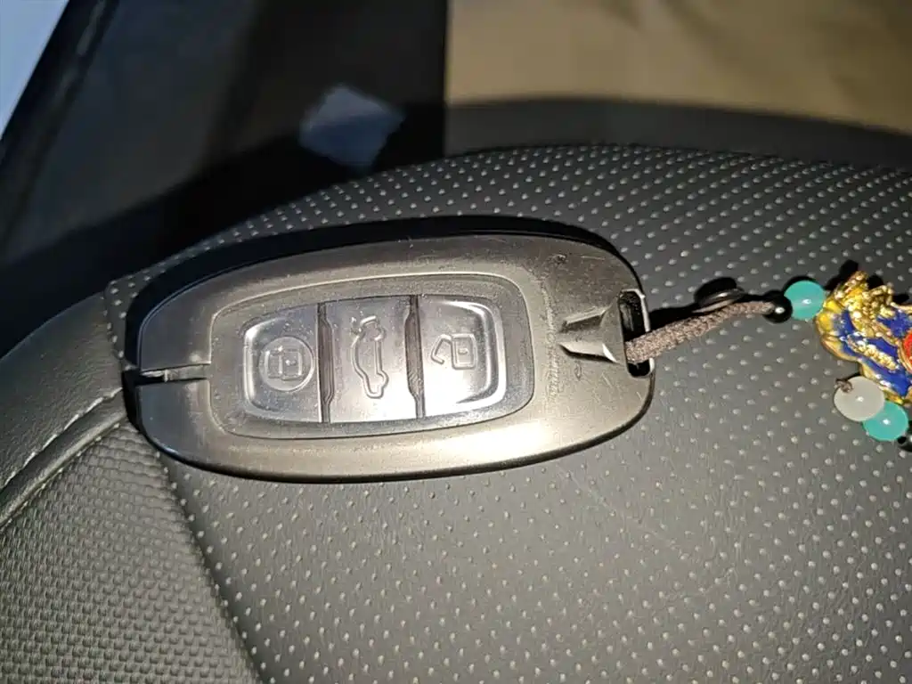 Hongqi E-QM5 2023 Facelift Basic Travel Edition фото 9