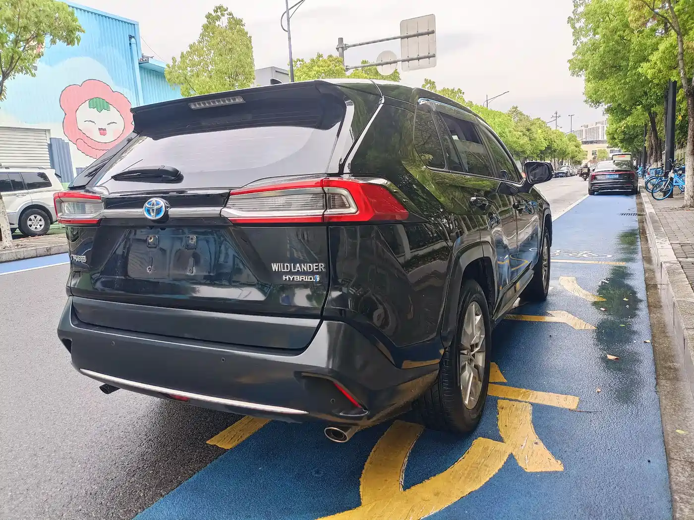 Toyota Wildlander 2020 Dual Engine 2.5L E-CVT FWD Luxury фото 6