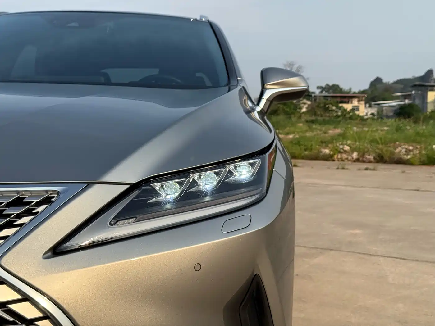 Lexus RX 2021 300 AWD Special Edition фото 10