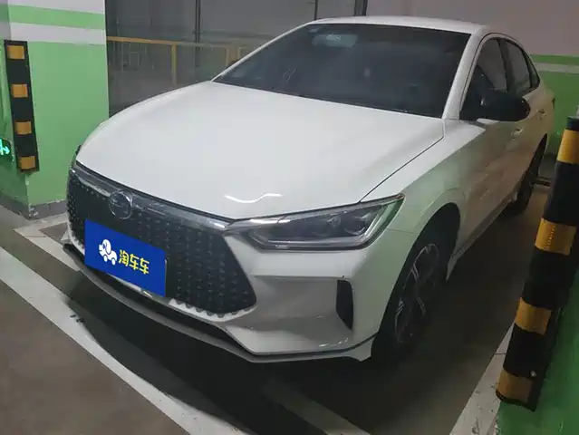  BYD BYD e3 2020 Long Range Edition Glamour Luxury Model