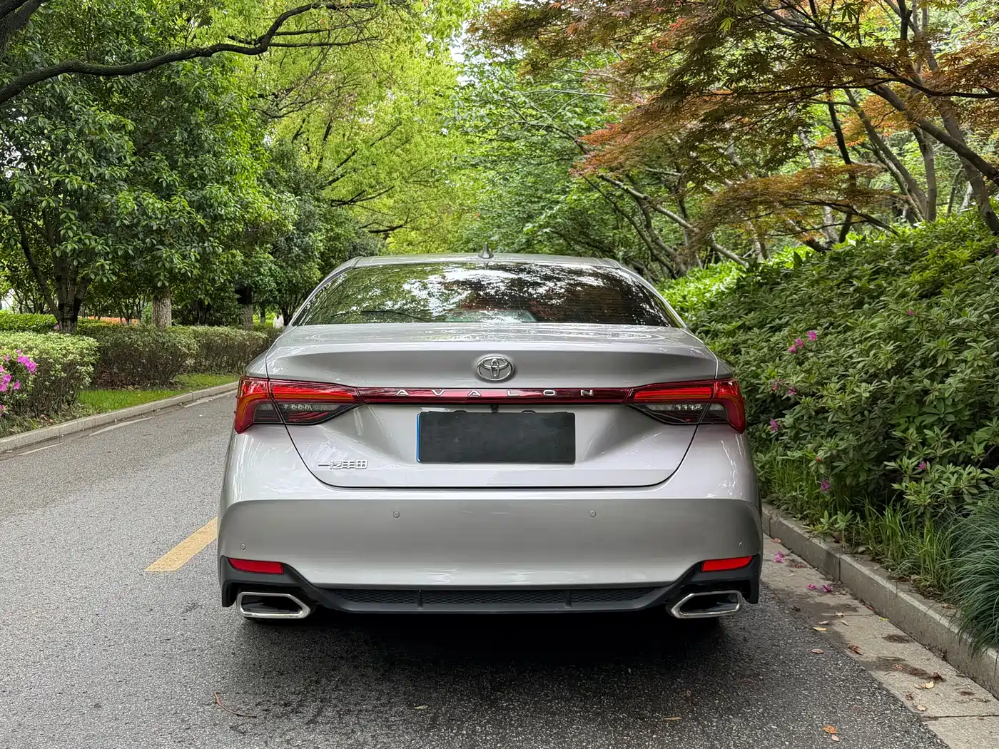 TOYOTA ASIAN DRAGON