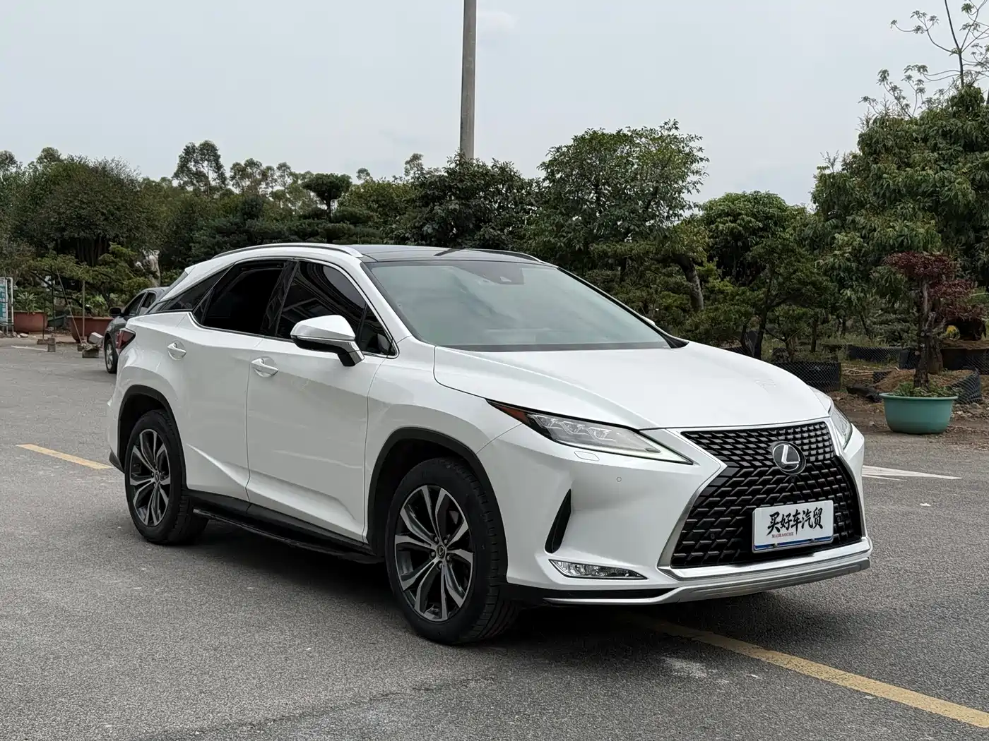 Lexus RX 2020 300 4WD Luxury Edition China VI фото 2