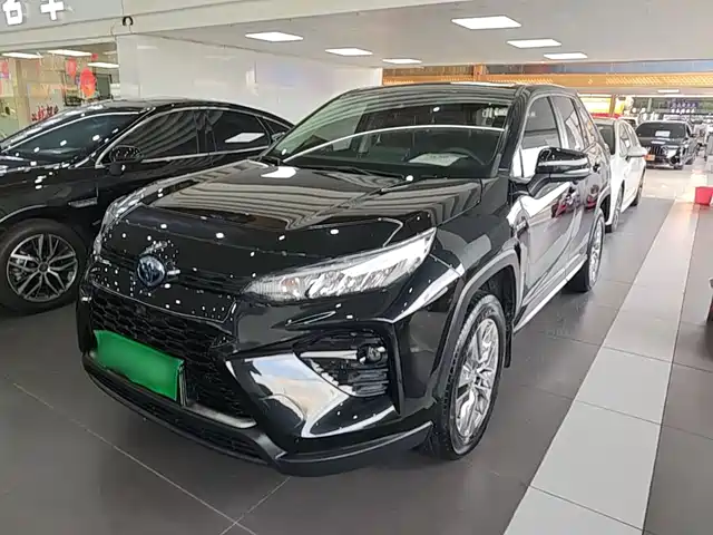 Toyota Wildlander 2022