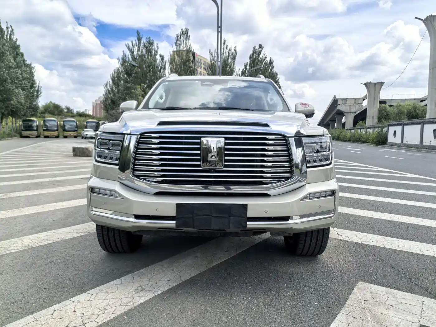 Tank 500 2023 2023 3.0T Business Edition (5-seater)