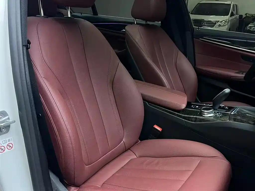 BMW 5 Series 2020 530Li Leading M Sport Package фото 9