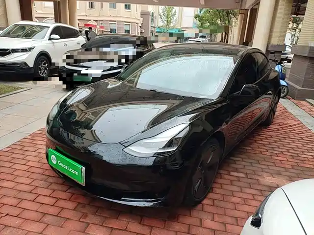  Tesla Model 3 2021 Standard Range Rear-Wheel Drive Upgrade