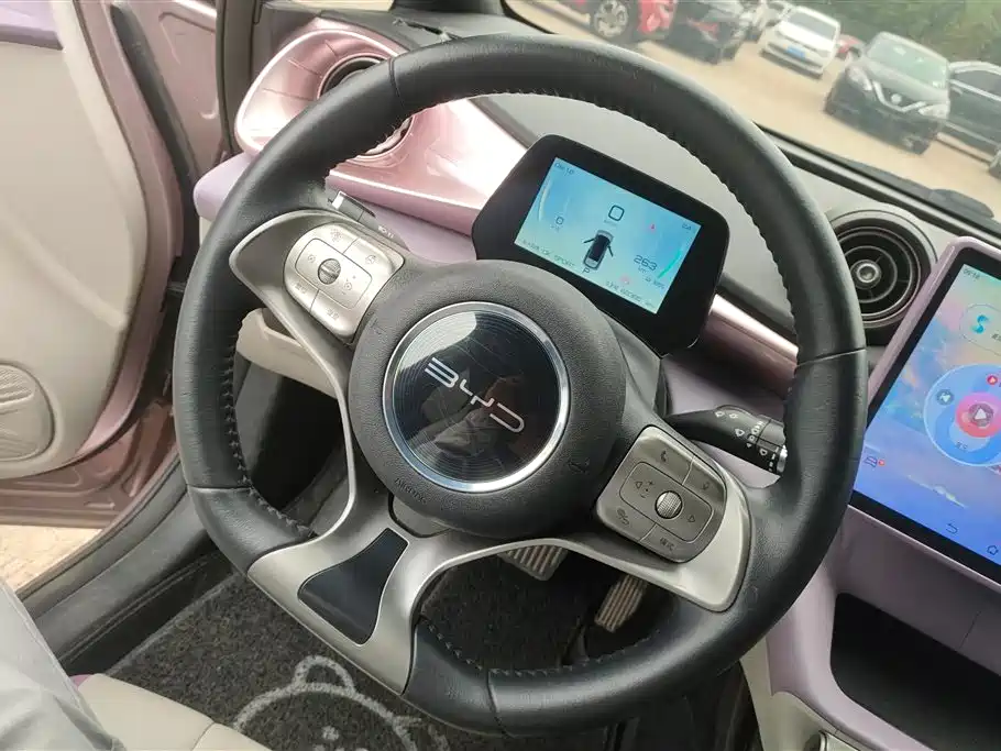 BYD Dolphin 2021 Model 405km Fashion Edition фото 15