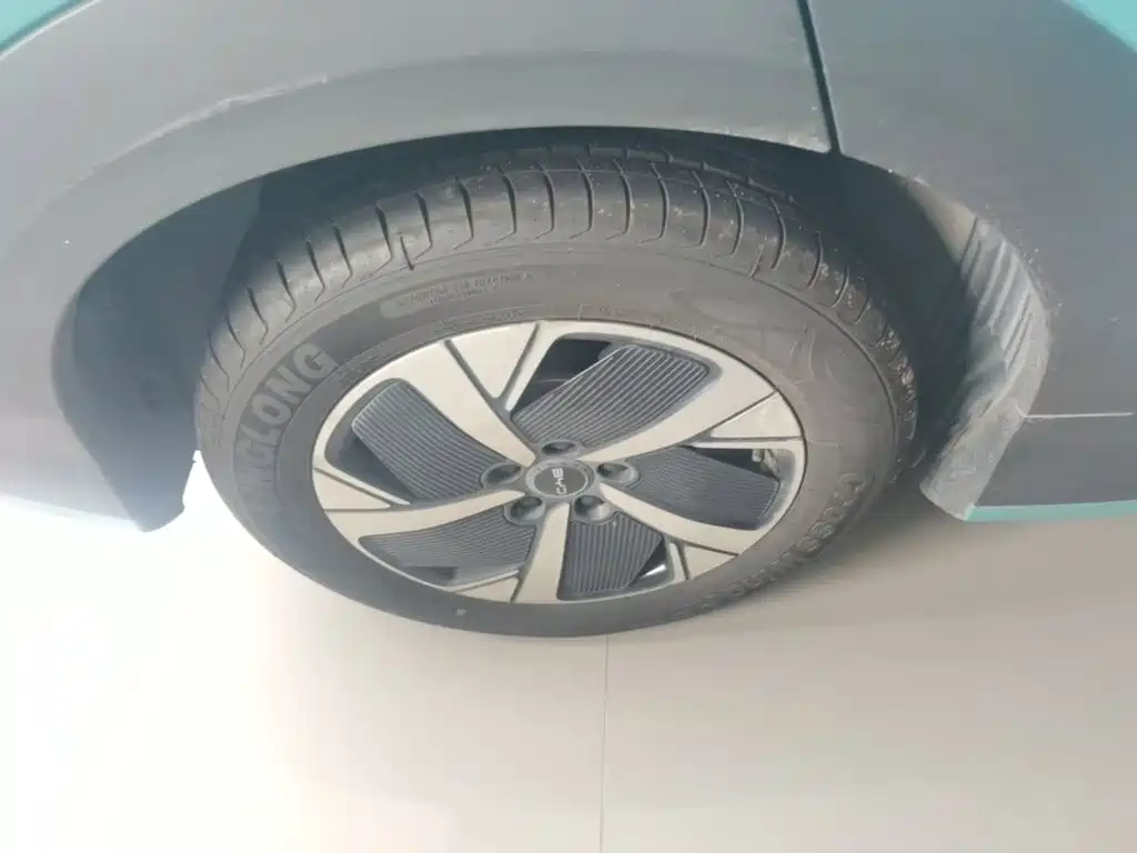 BYD Hai Shi 05 EV 2025 2025 520KM Smart Navigation Edition