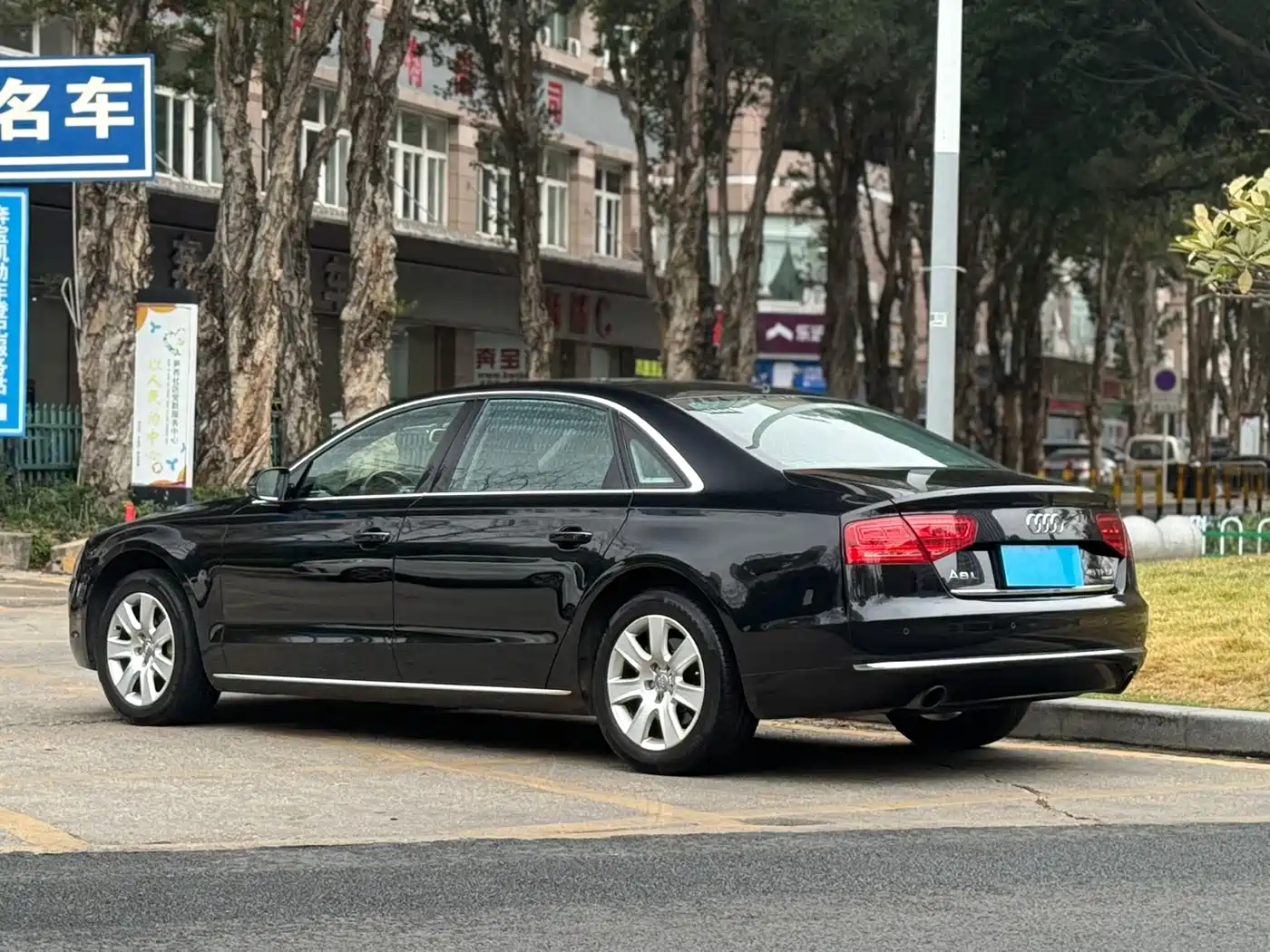 Audi A8 2013 A8L 45 TFSI quattro Luxury фото 18