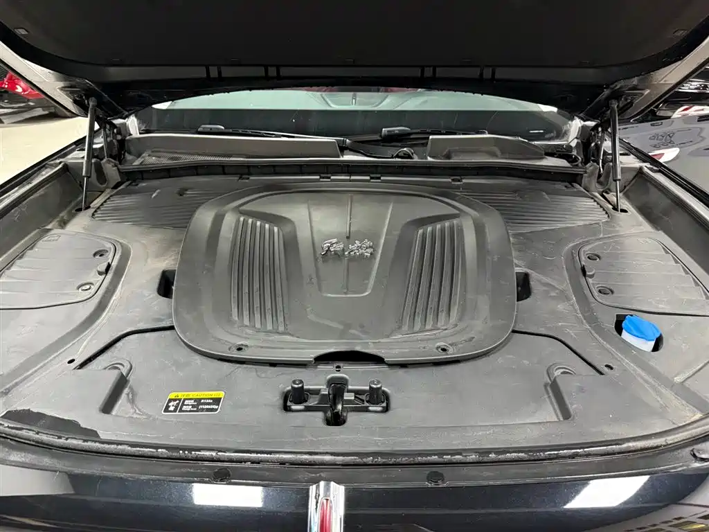 Hongqi E-HS9 2022 690km Qi Xiang Edition (6-seater) фото 29