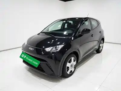 BYD Seagull