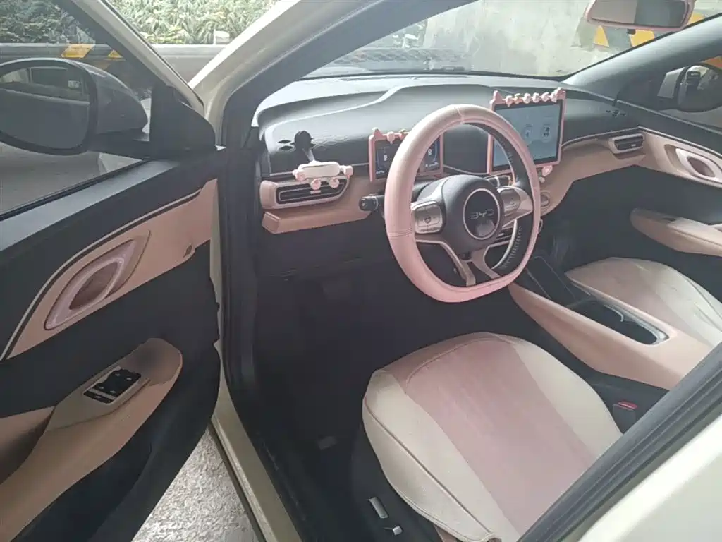 BYD Seagull 2025 305km Freedom фото 16