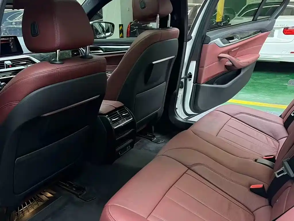 BMW 5 Series 2020 530Li Leading M Sport Package фото 7