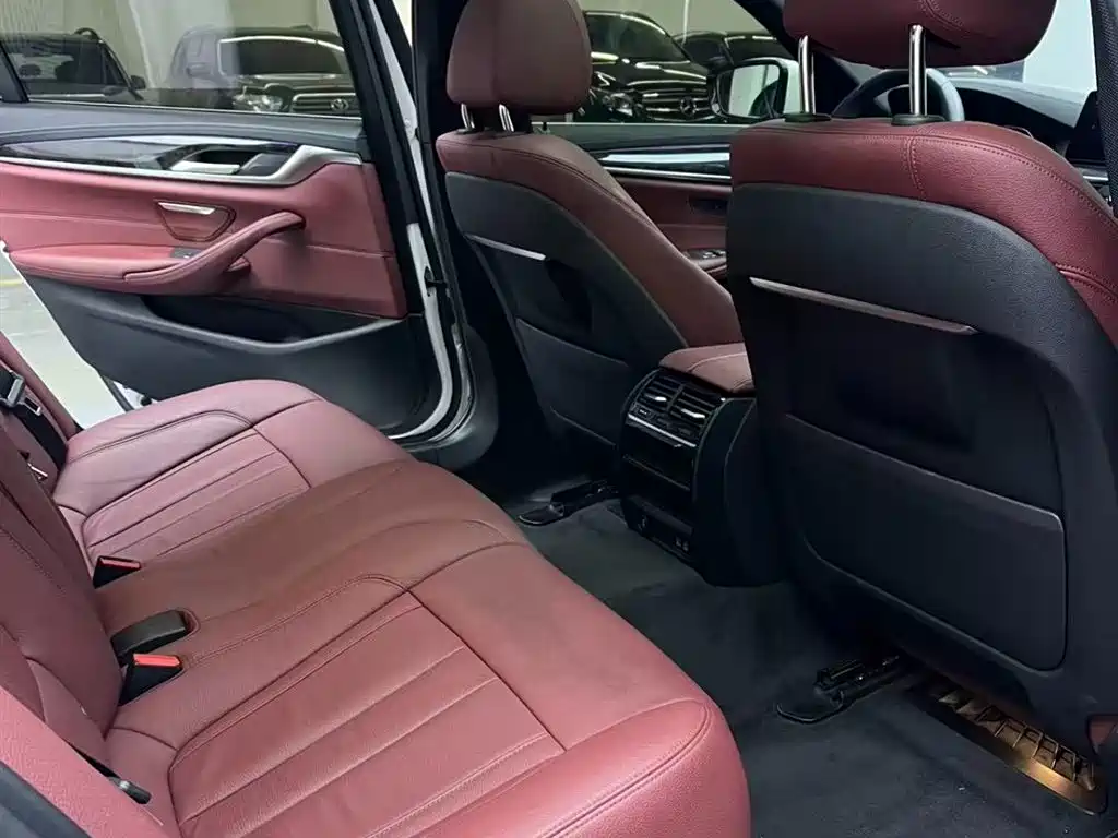 BMW 5 Series 2020 530Li Leading M Sport Package фото 10